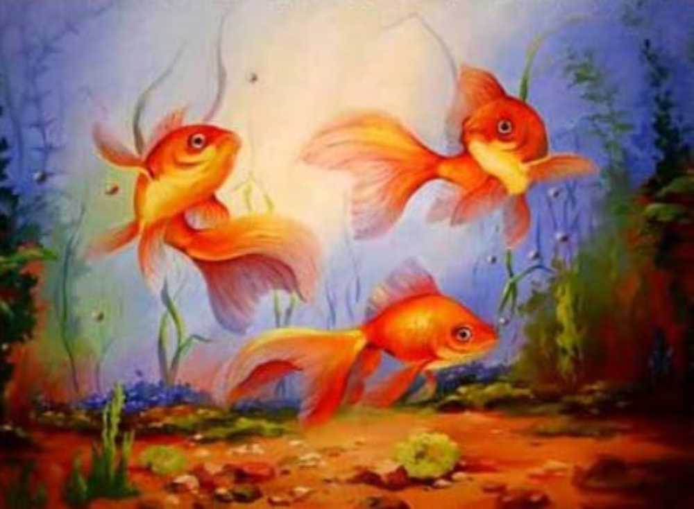 Рыбки