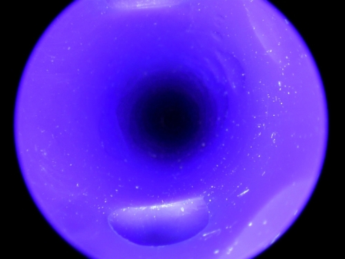 Endoscope Capture with USB Camera