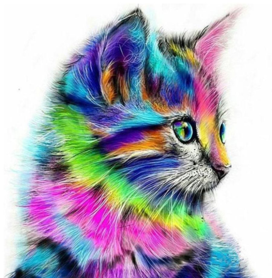 Котик правополушарный 