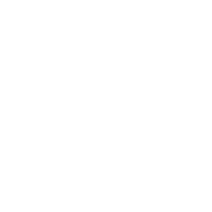 website icon