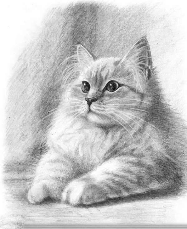 Кошка Карандаш