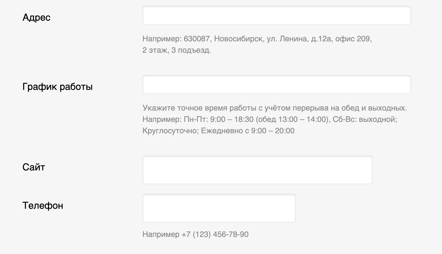 Поля формы 2ГИС: адрес, график работы, сайт и телефон с примерами заполнения