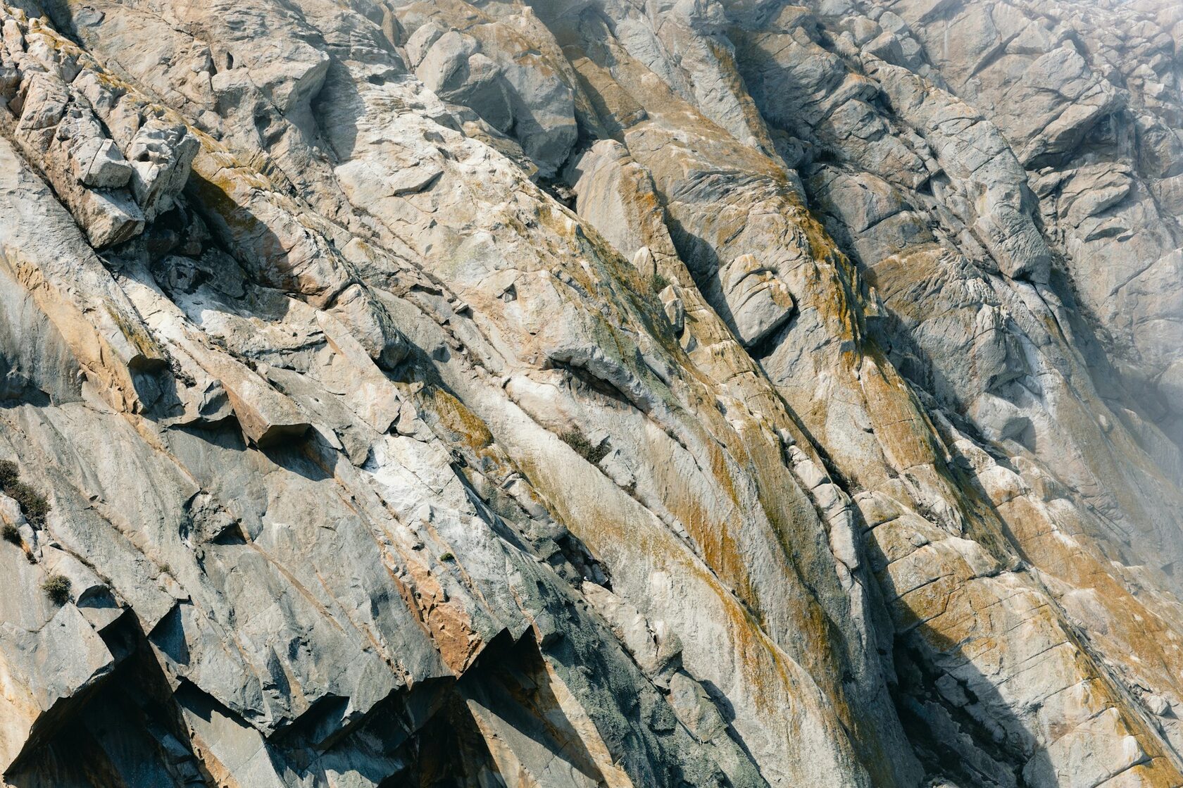 Nature texture