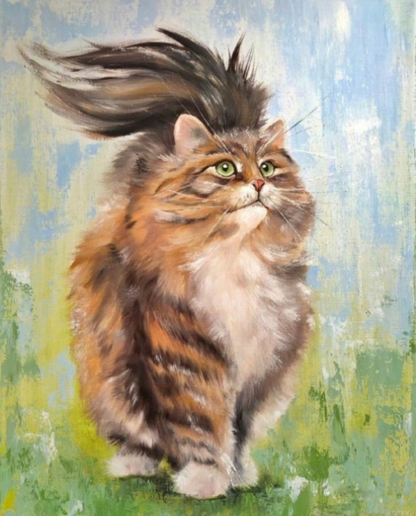 Кот