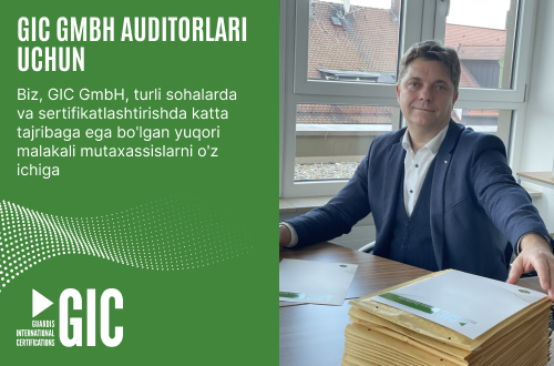 GIC GmbH auditorlari uchun