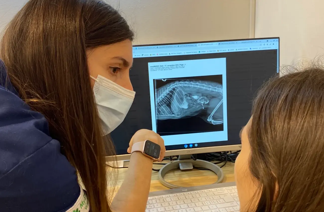 Radiographie Vétérinaire