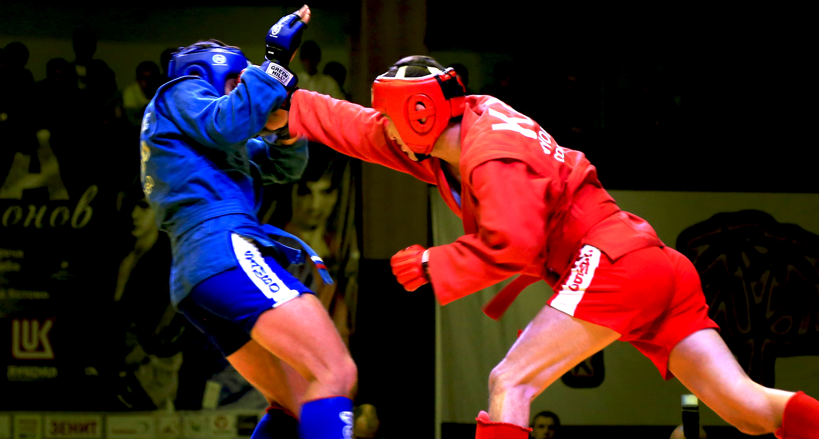 Fitness Cookies Multibox ��������: ����.