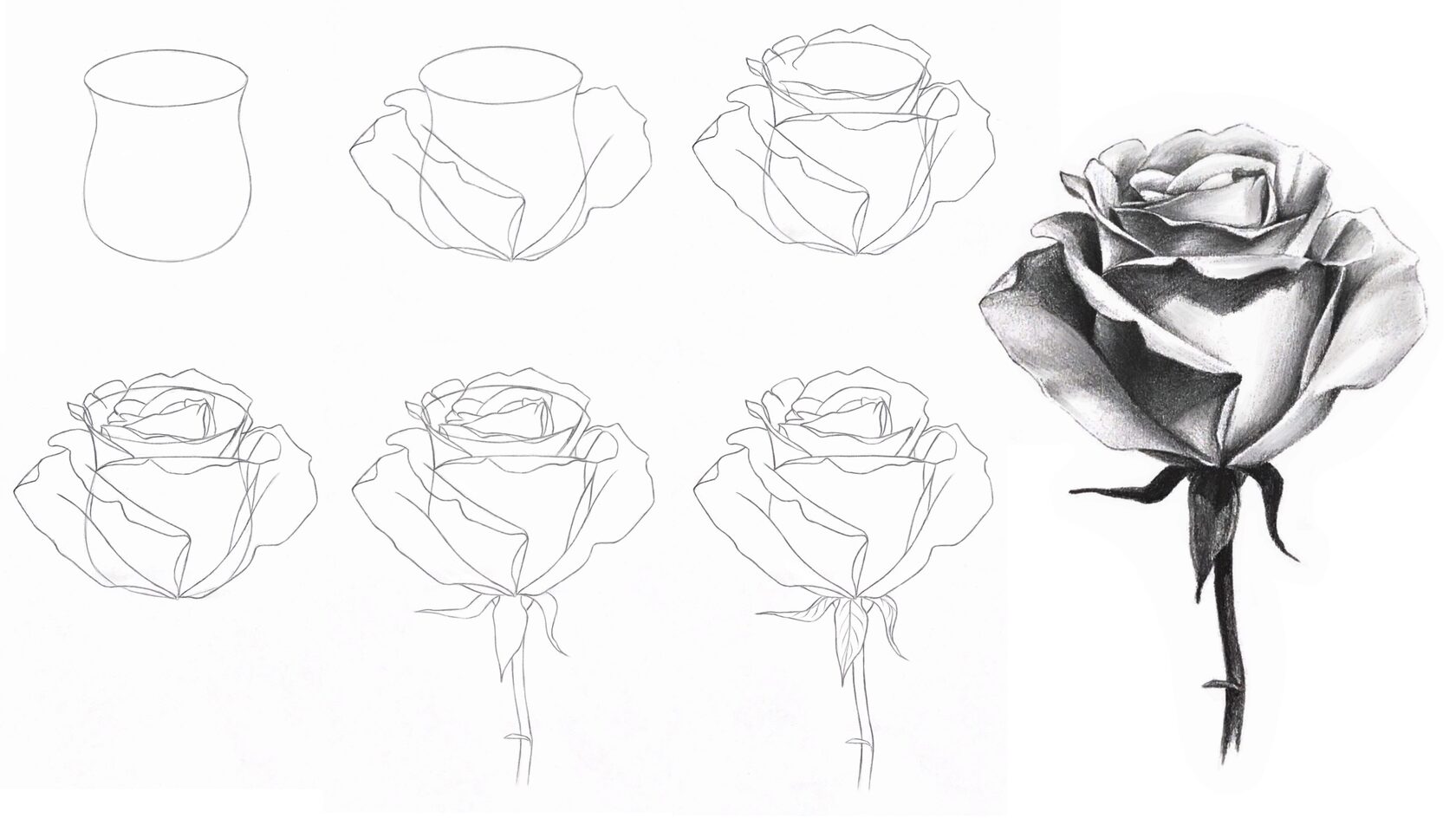 Как нарисовать розу карандашом — 5 поэтапных рисунков для начинающих