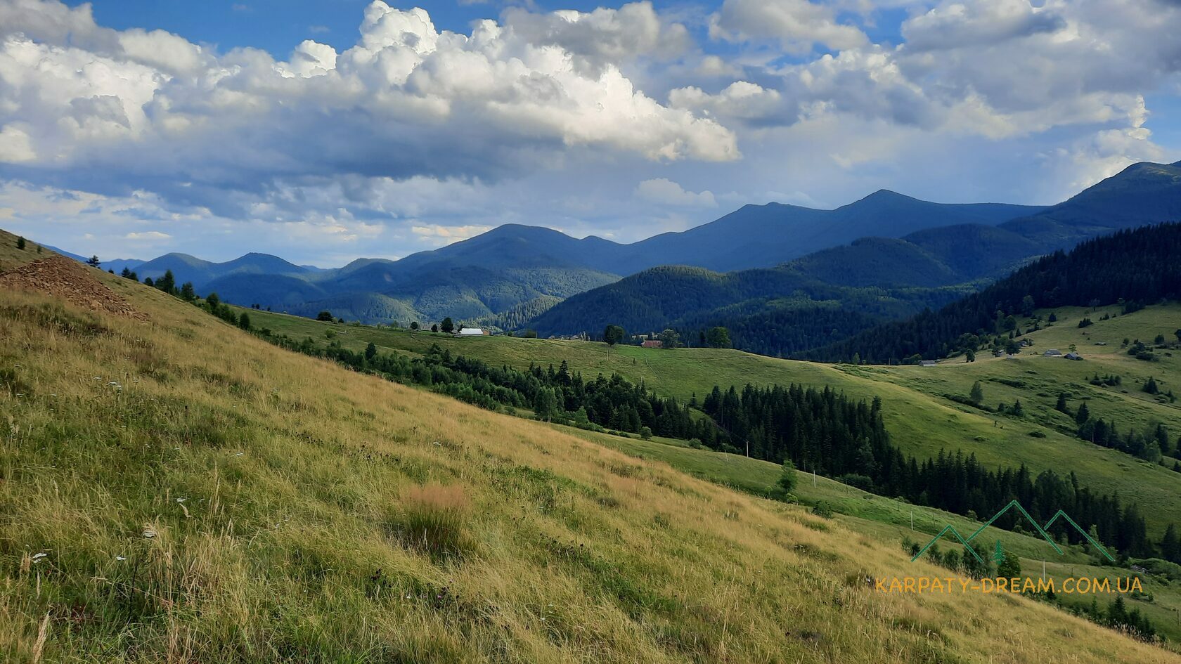 Земля в Карпатах (недвижимость). Купить земельный участок в горах (недорого  от хозяина)