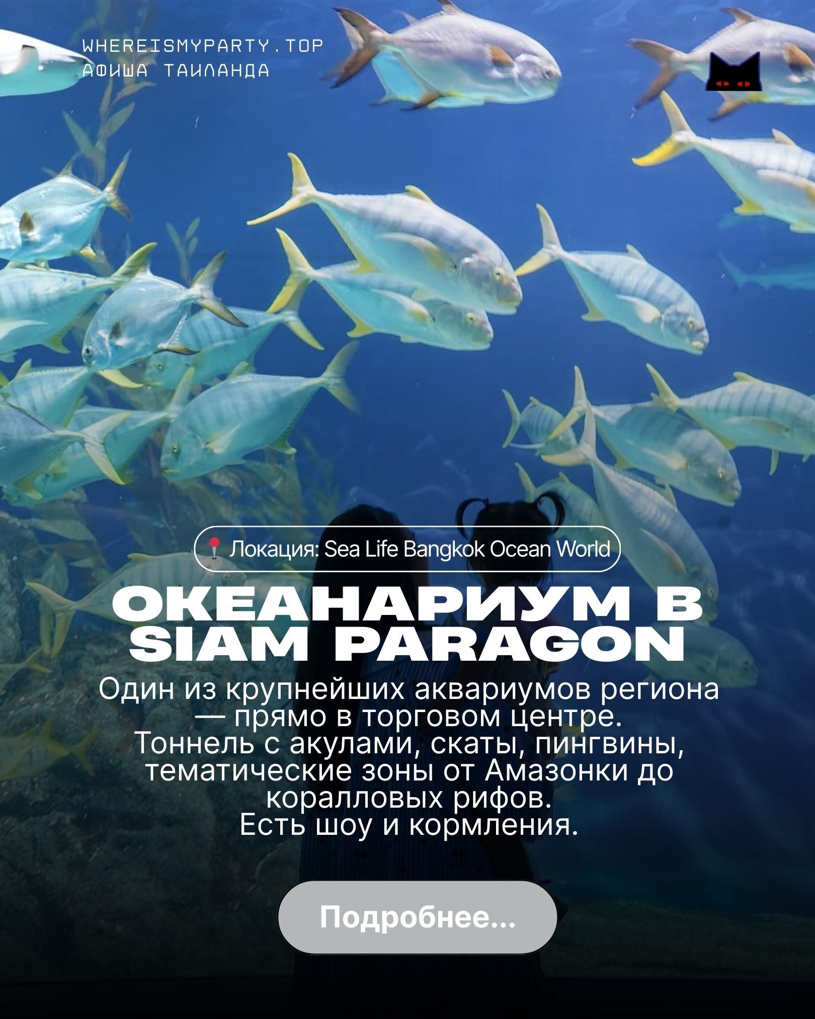 Обзор океанариума в бангкоке