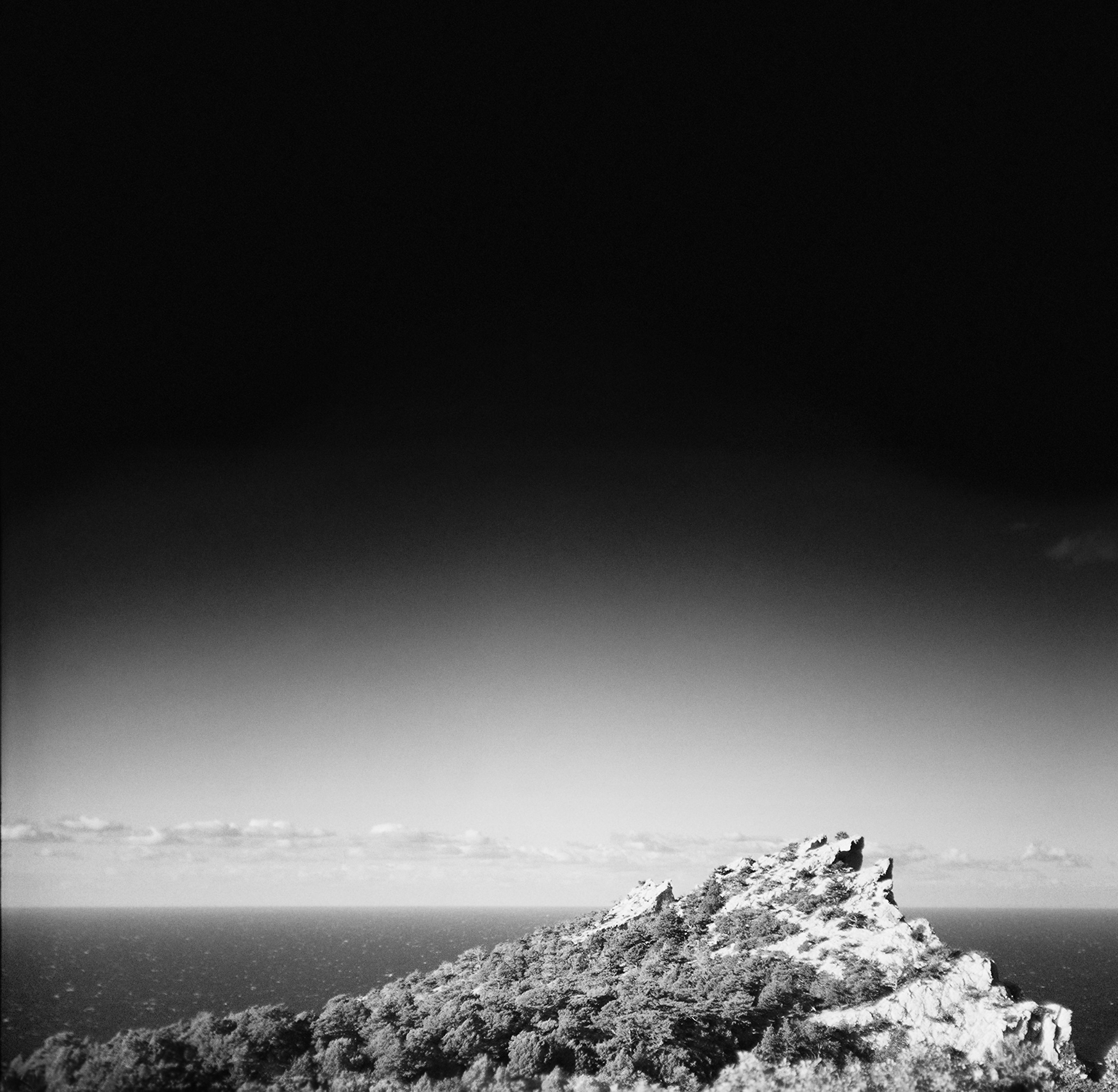 A shark fin. A close-up view. The Crimean Peninsula. 2012