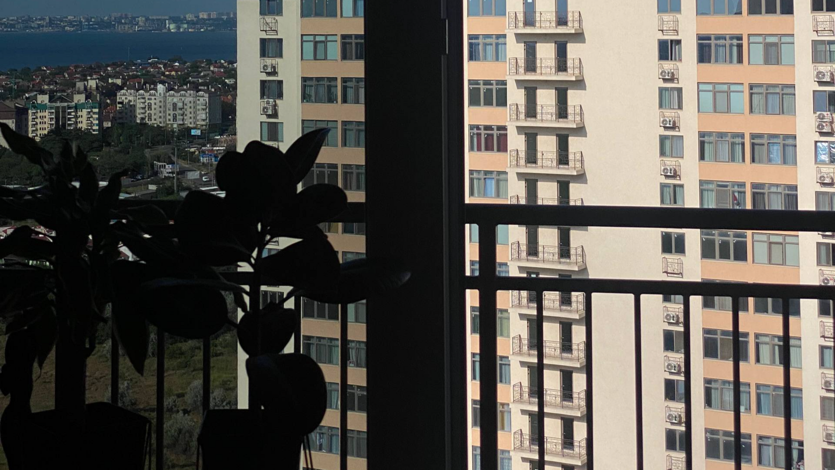 Кімнатні рослини біля вікна з плівкою