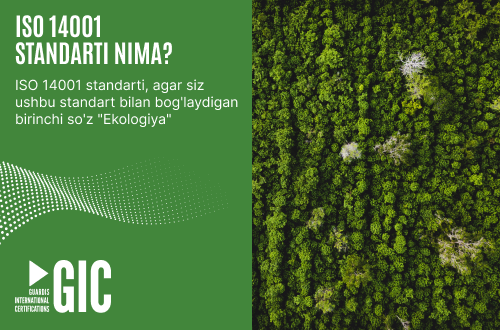 ISO 14001 standarti nima?