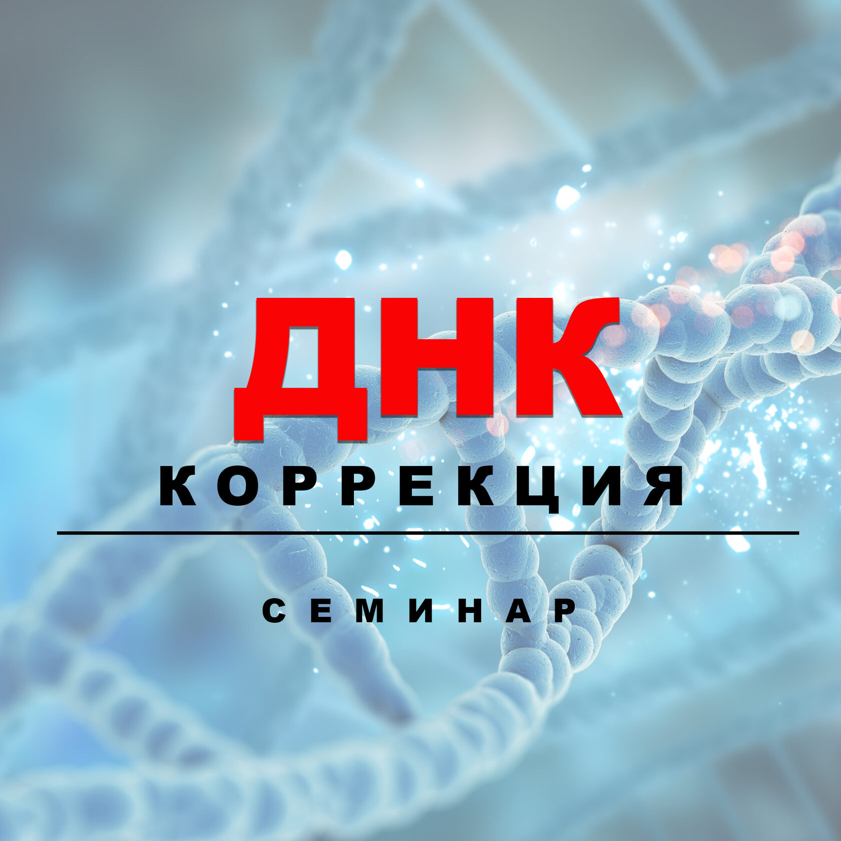 www.seminar.ua-pk.com