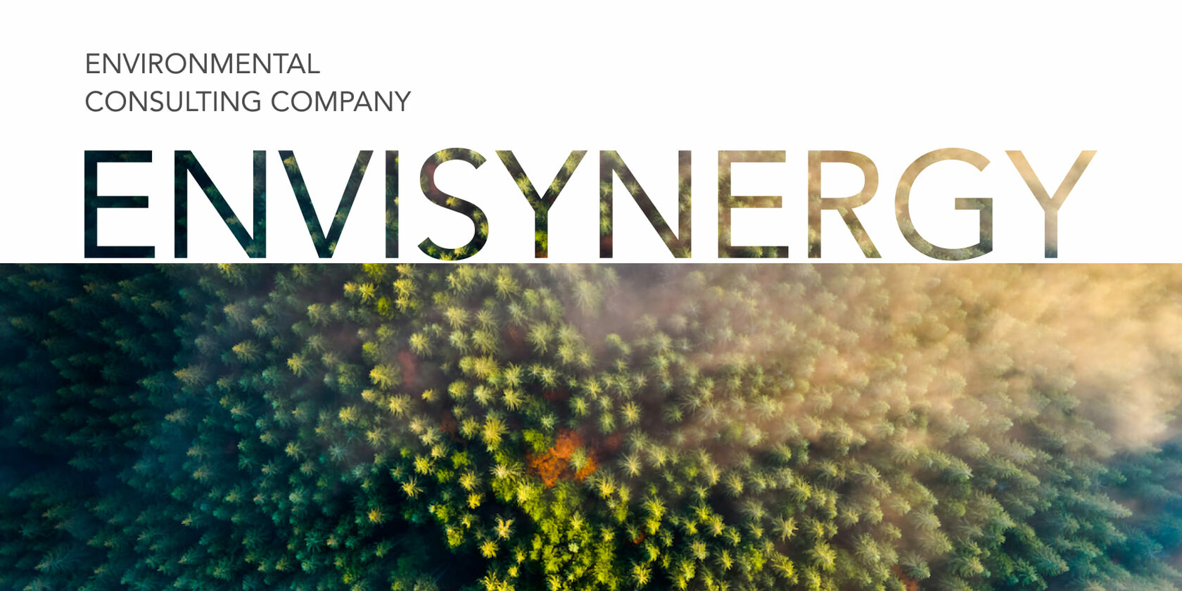 Engain Environmental consulting company in Philippines
