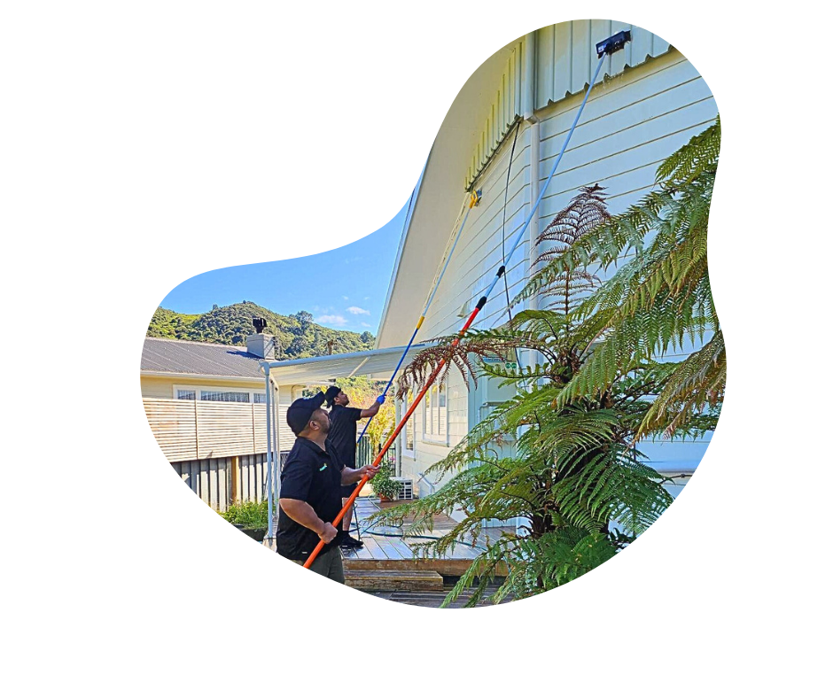 Two male cleaners washing the outside of a house using long brushes and hoses.