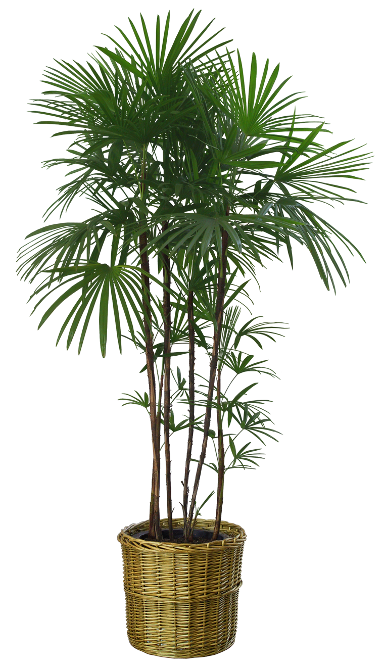 Комплектация апартаментов Modernity