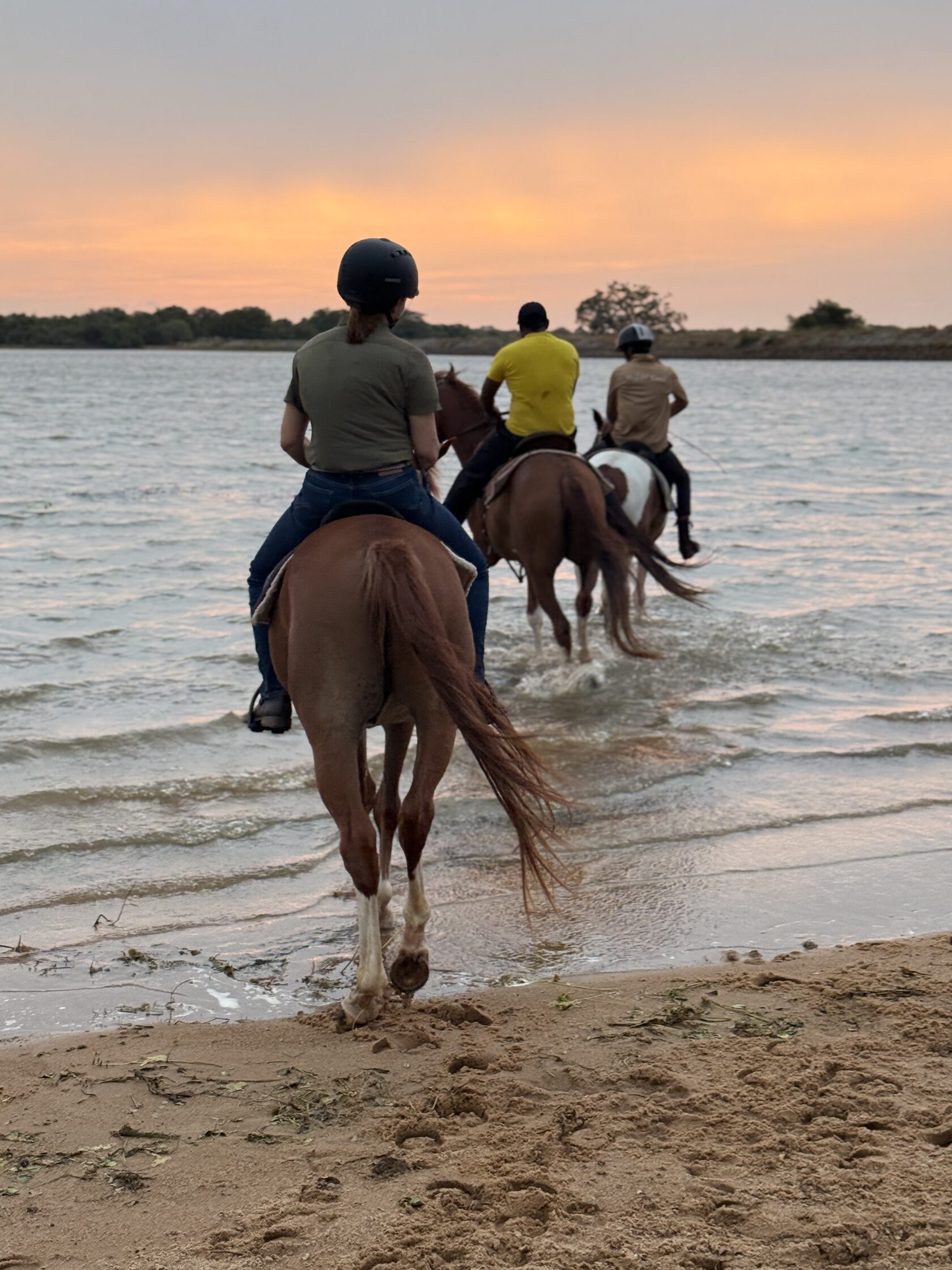 Quiet trail ride and experiential stillness at Vonfidel Ranch in Sri Lanka