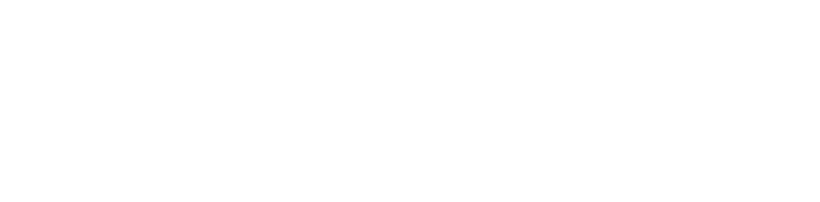 Котли Зубр