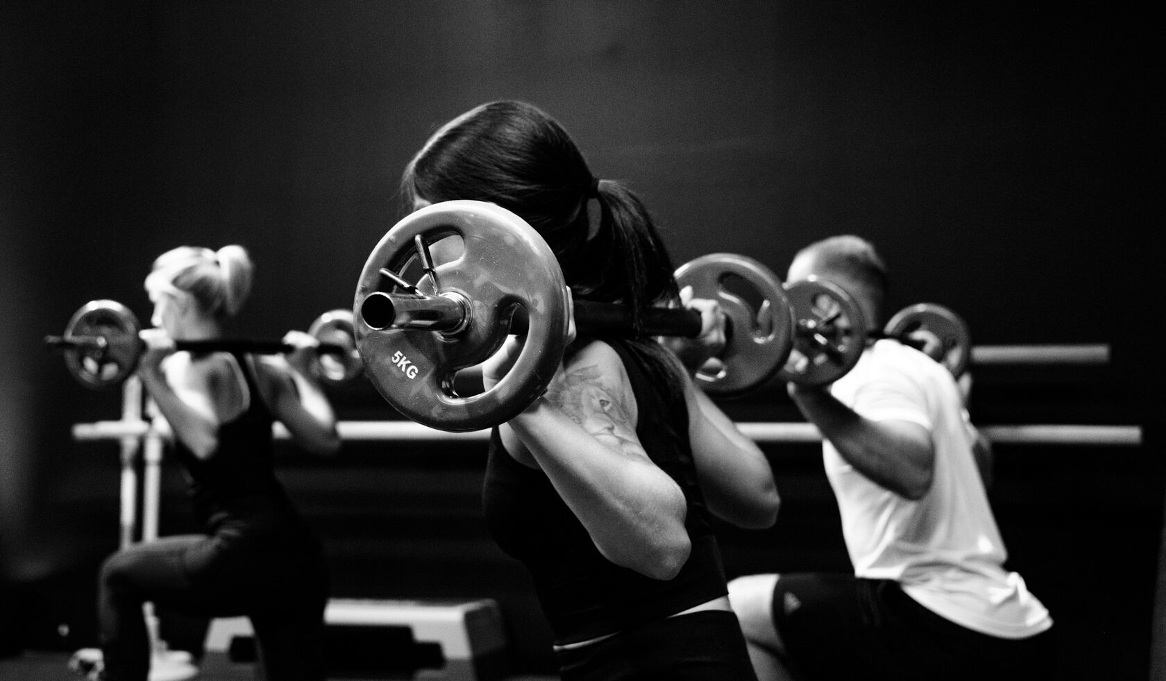 FitForge