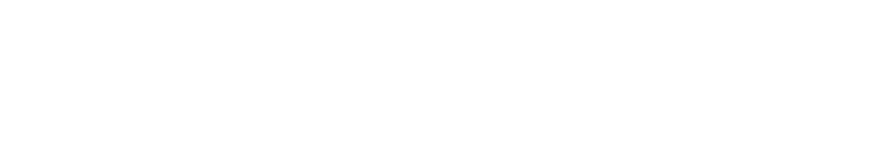 Логотип партнера