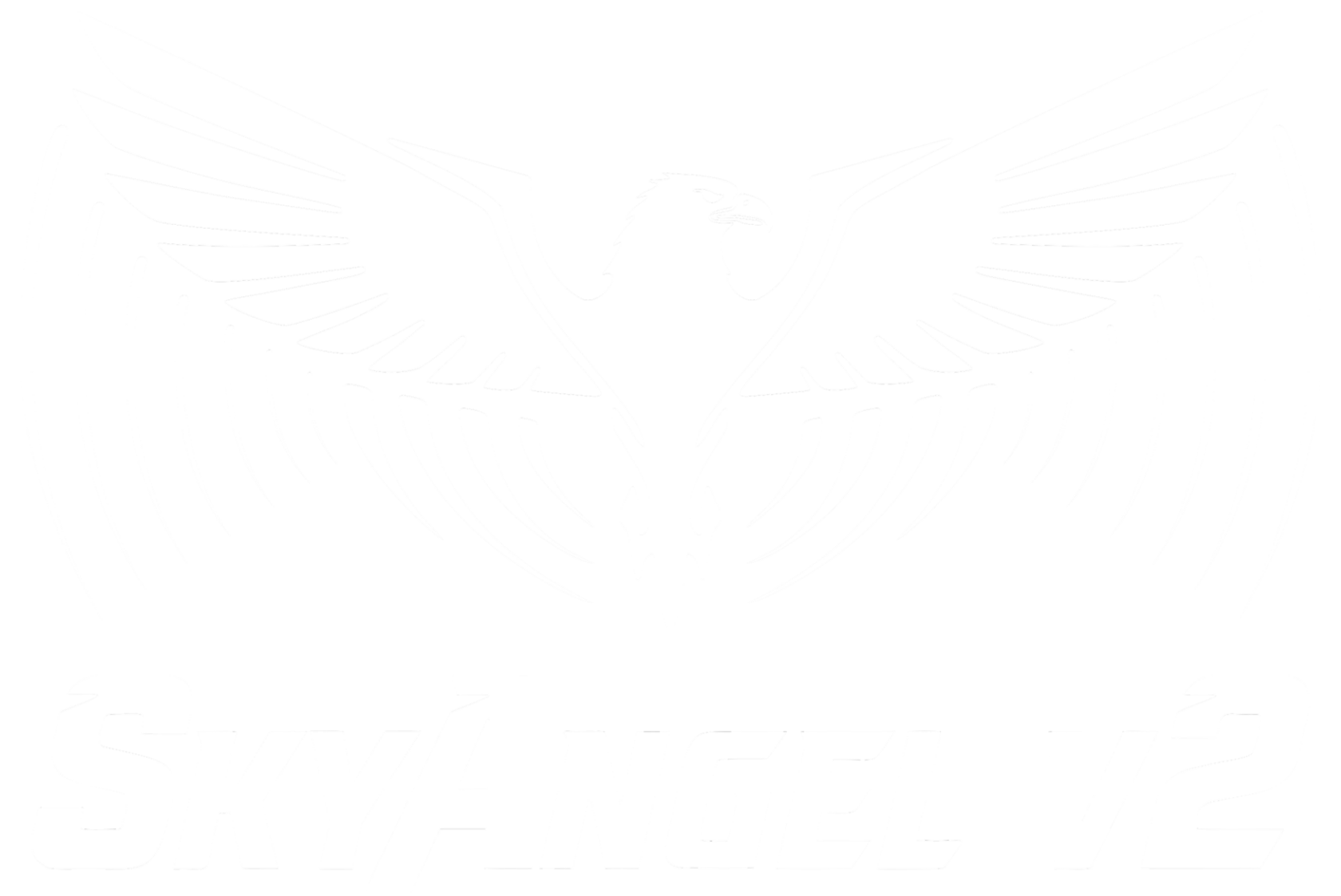  SKYANGEL v2 