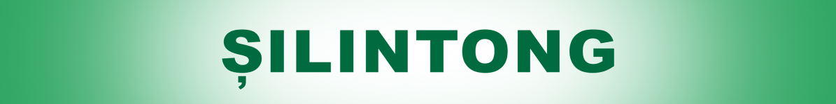 Silintong logo