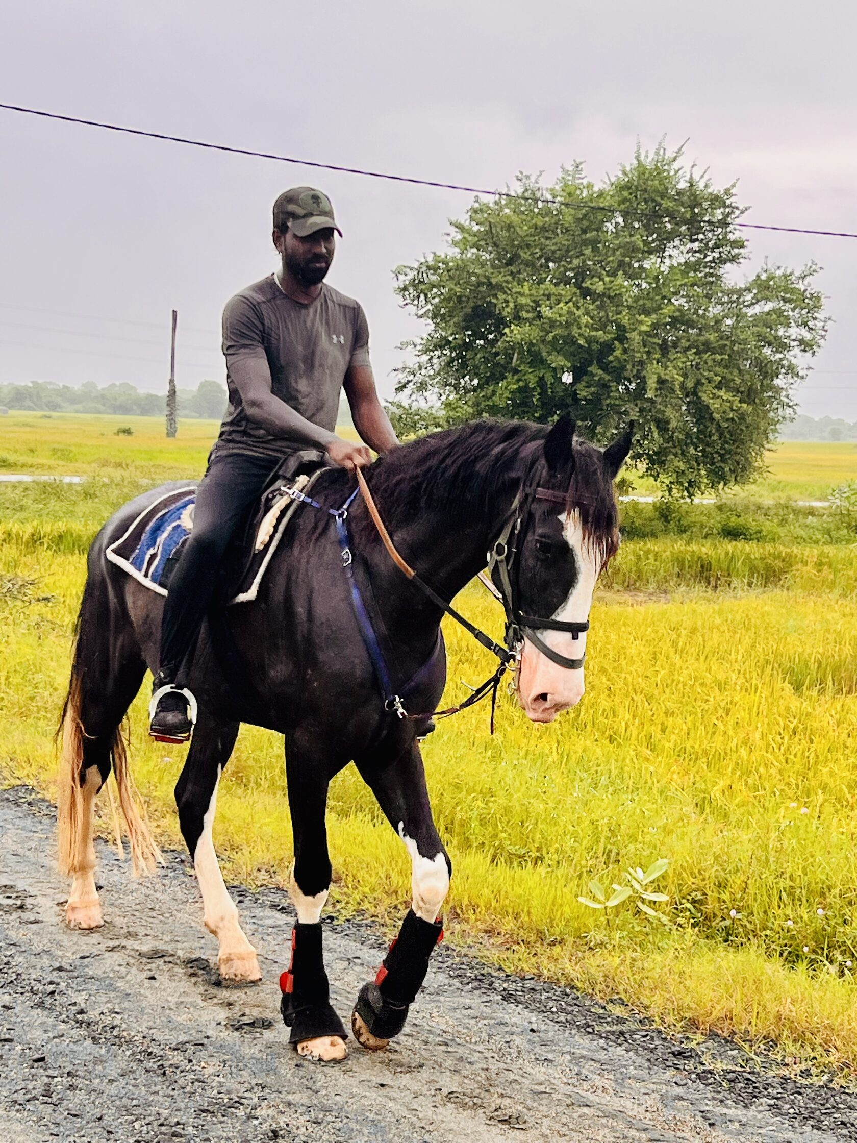 A quiet moment of horsemanship at Vonfidel Ranch