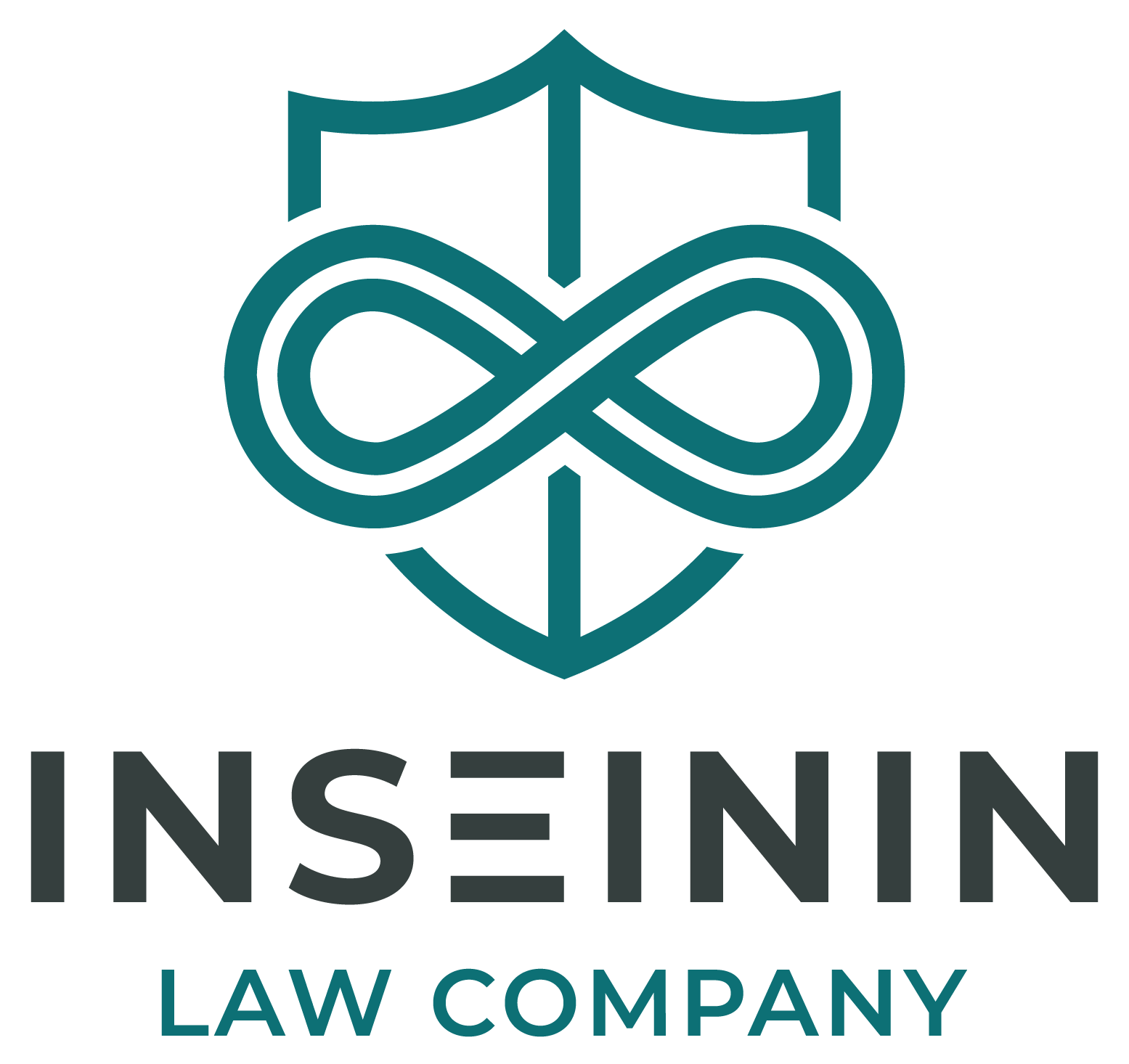  INSEININ 
