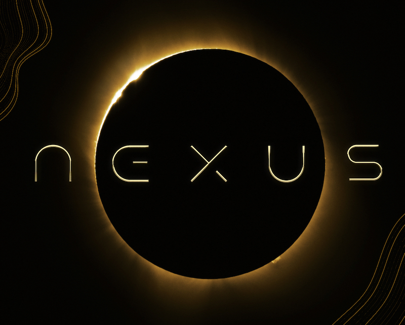 Nexus Solutions. Linkedin услуги