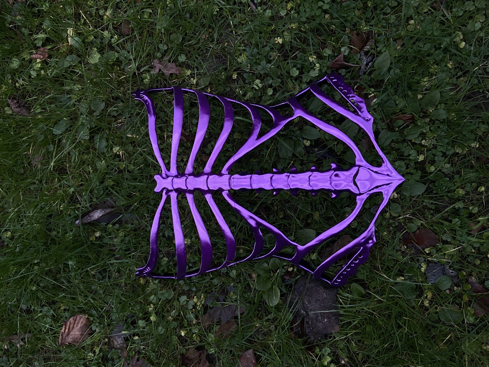 Bonnie Corset