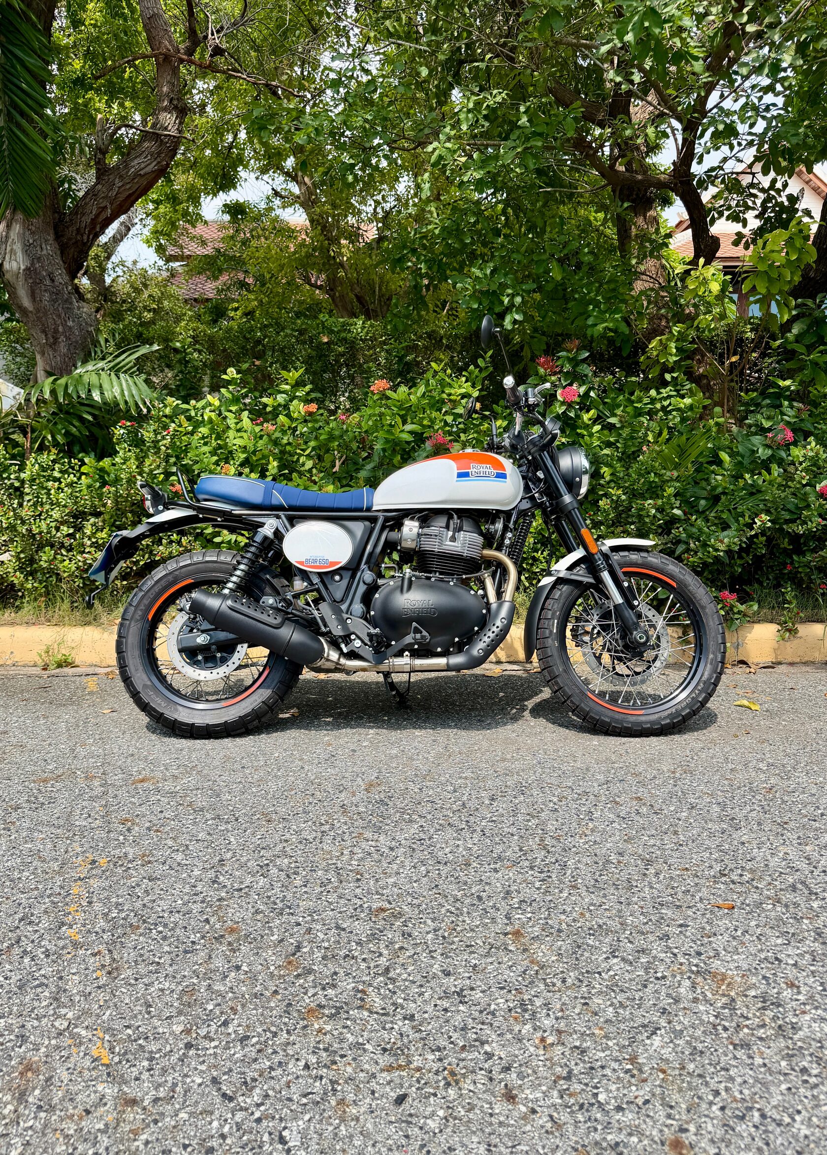 Royal Enfield Bear 650 scrambler big bike rental Best Motors Pattaya