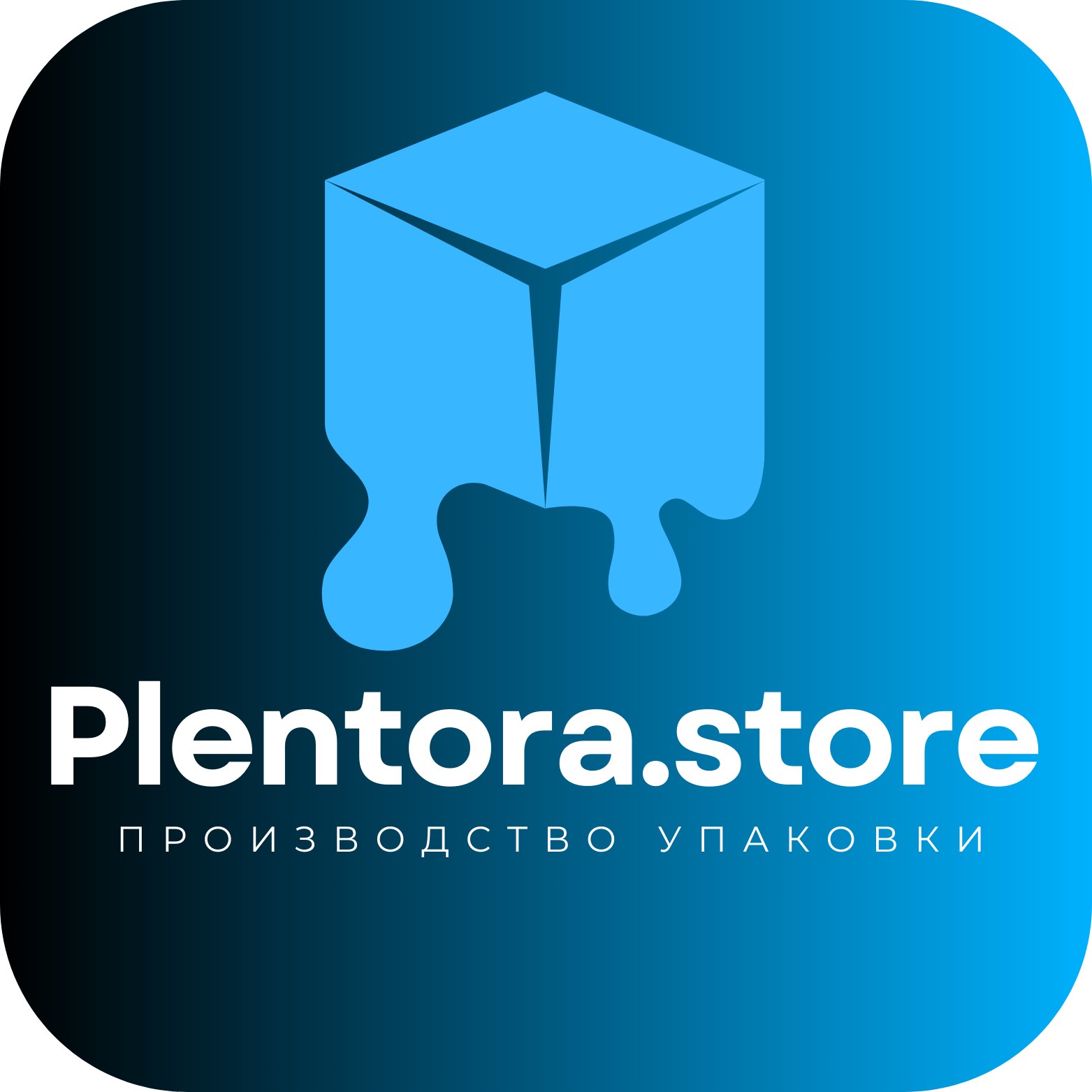 Логотип Plentora.store - Упаковка из Китая оптом