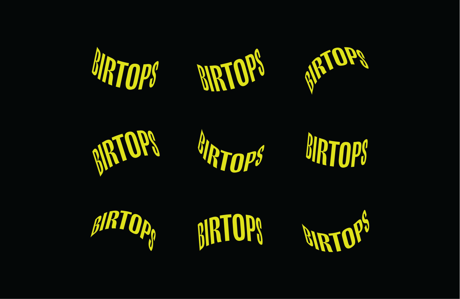 айдентика и дизайн, логотипы и фирменный стиль, биртопс, креативная агентство, заказать дизайн услуги в Бишкеке, разработка логотипа в Бишкеке