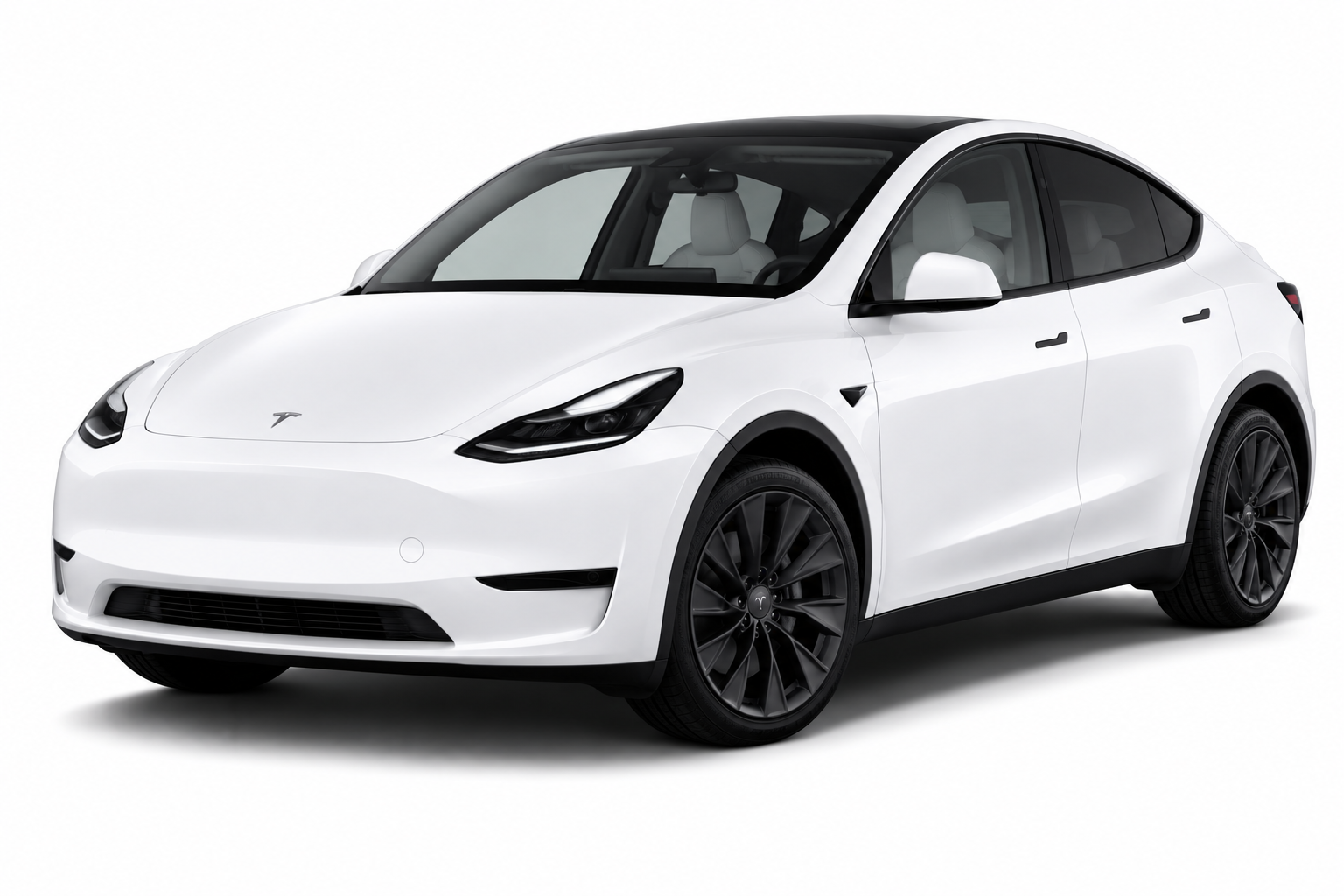 CareWay Tesla Model Y