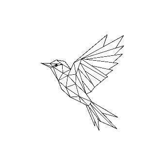 Embark bird