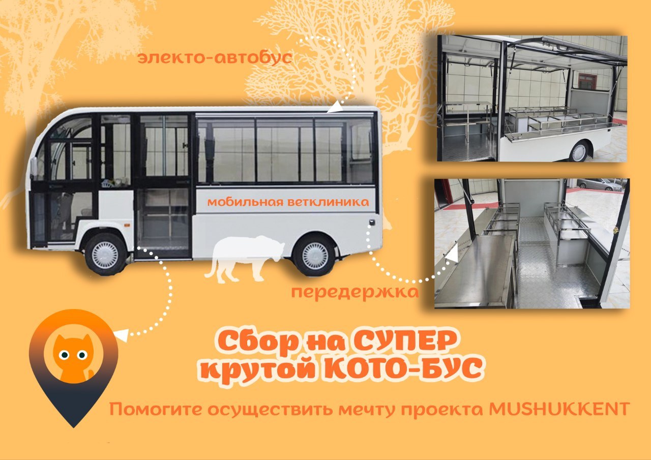 Maktab avtobus porno