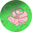 website icon