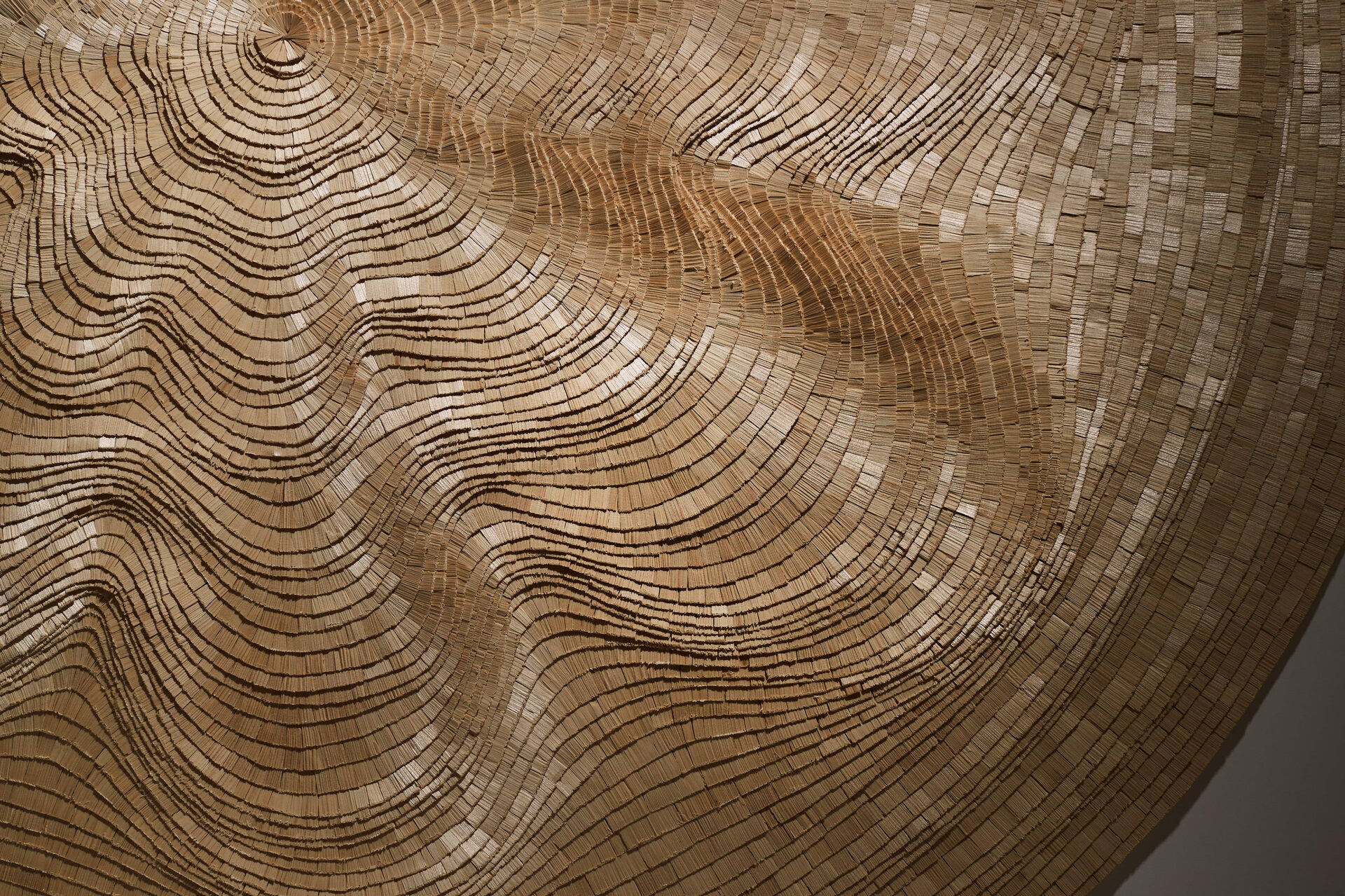 Interior Design Wood Wall Panel In the Stream of the Tree by Tor Design