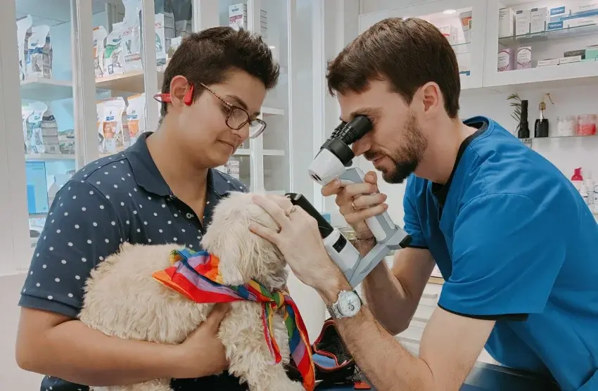 Ophtalmologie Vétérinaire