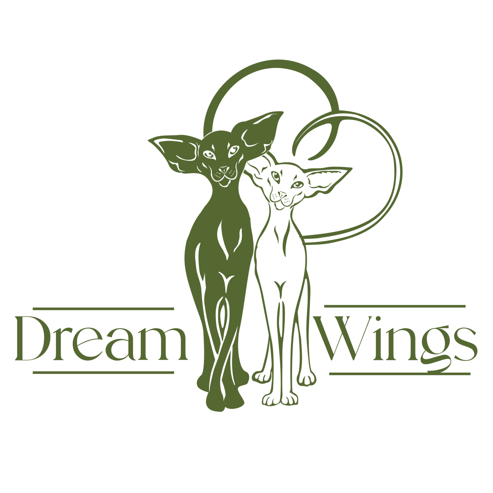 DREAM WINGS cattery