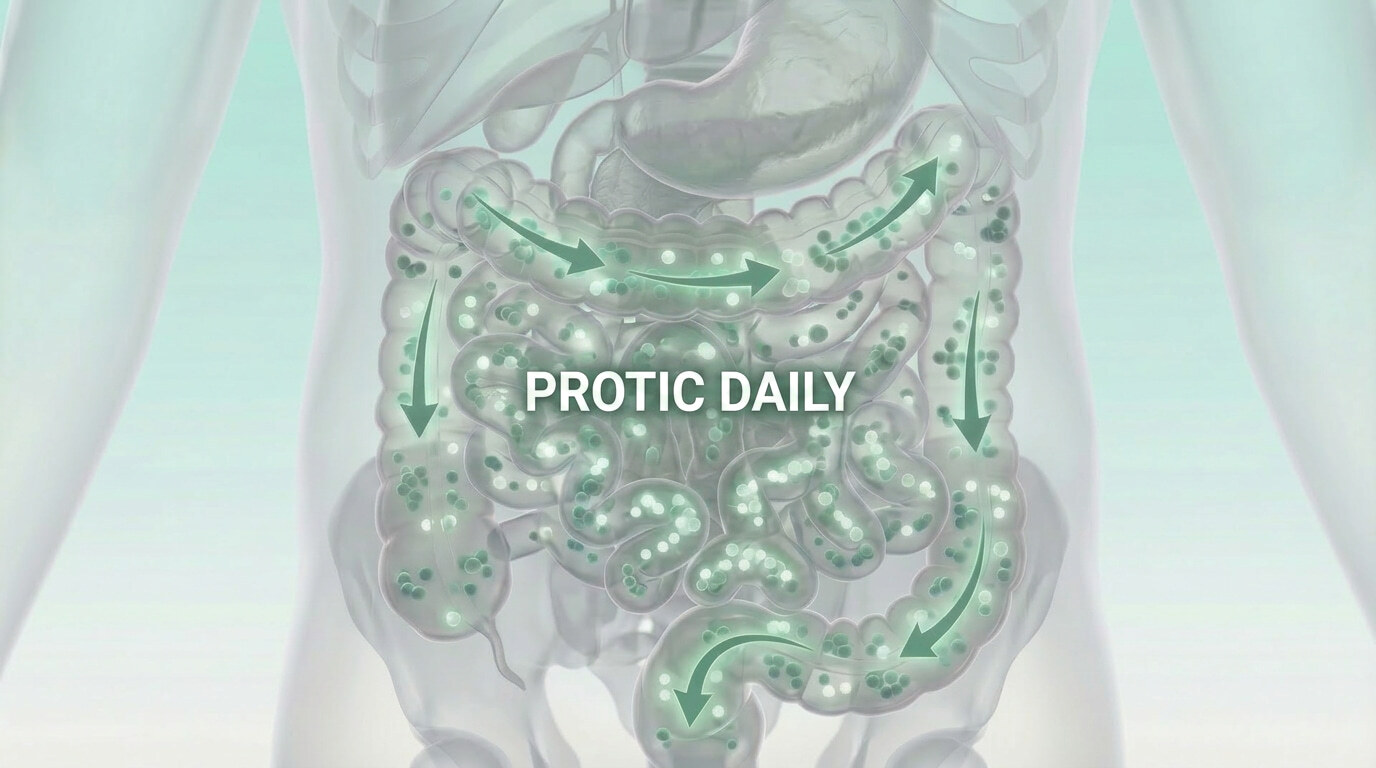 Write Protic PROTIC DAILY