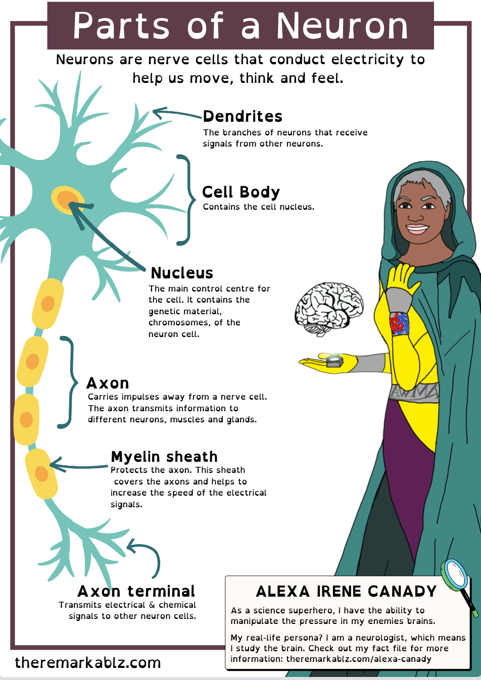 Educational poster titled ‘Parts of a Neuron’, showing a labelled diagram of a neuron including dendrites, cell body, nucleus, axon, myelin sheath, and axon terminal. Illustrated character of Alexa Irene Canady appears on the right, depicted as a superhero with the power to manipulate brain pressure. Text explains her role as a neurologist and links to her fact file on theremarkablz.com.
