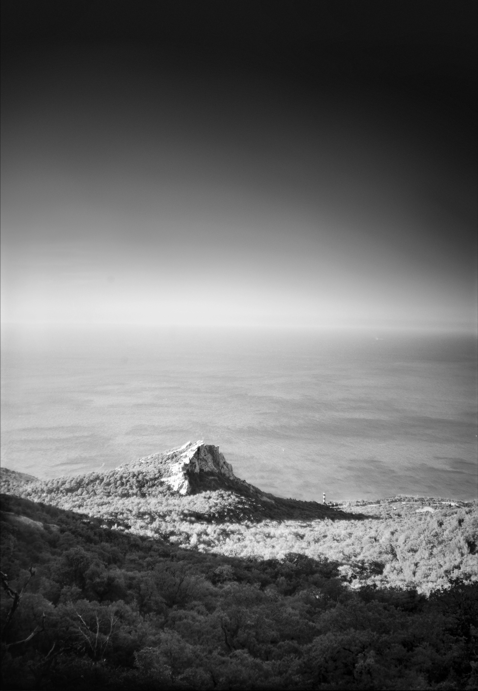 A shark fin. The Crimean Peninsula. 2012