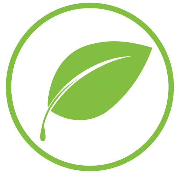 Экологичность передвижения на электромобиле