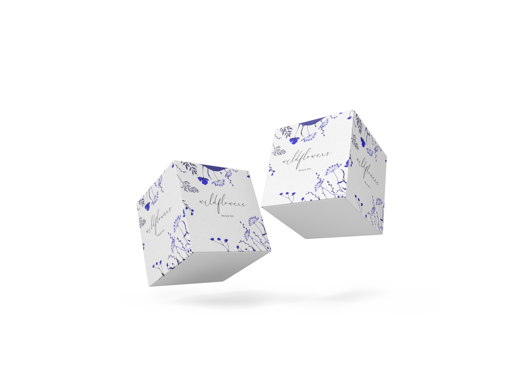 Graphics & Illustrations