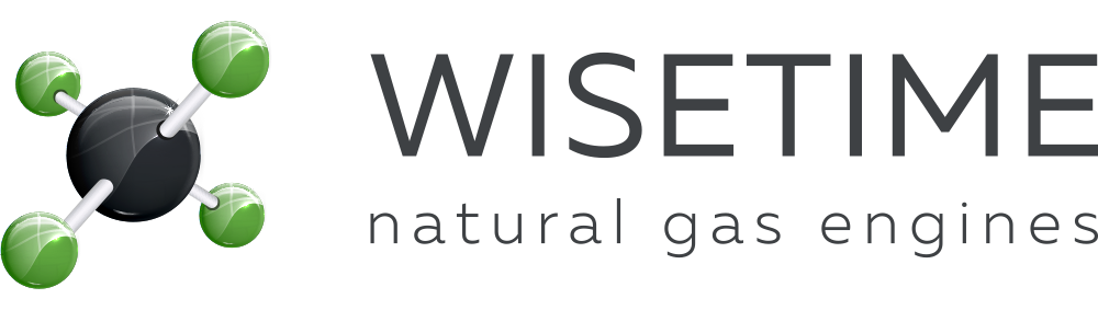 Wisetime Export