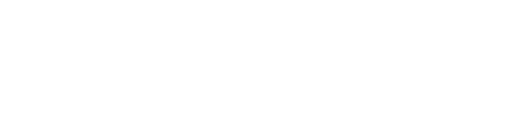 FF Cargo Services