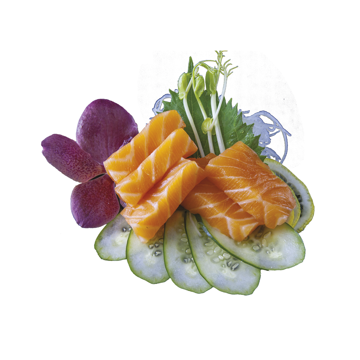 Sashimi Salmon