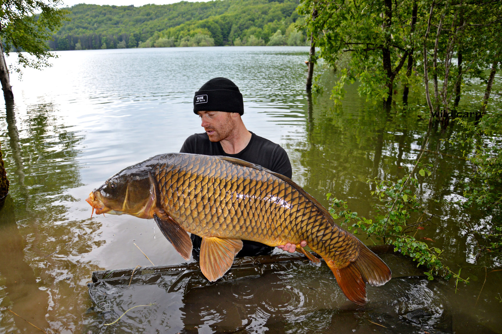 BIG CARP Promotions